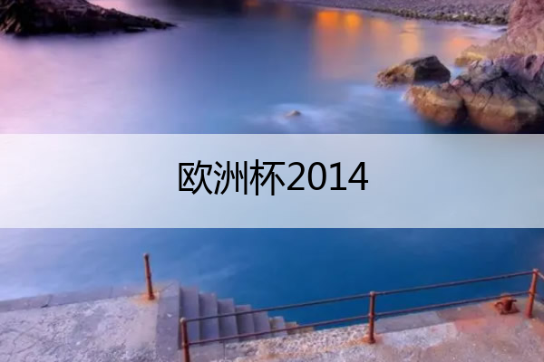 欧洲杯2014 欧洲杯2014年的欧洲杯冠军得主
