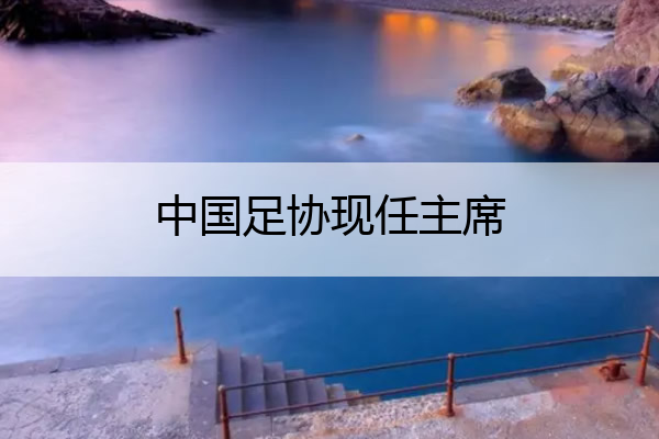 中国足协现任主席,
