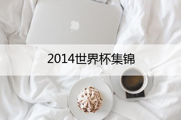 2014世界杯集锦,2014世界杯精彩比赛
