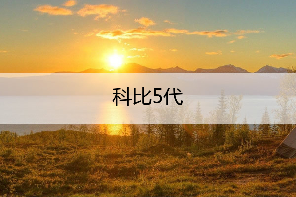 科比5代,科比5代球鞋图片
