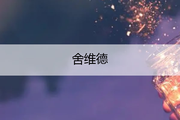 舍维德 舍维德去哪了