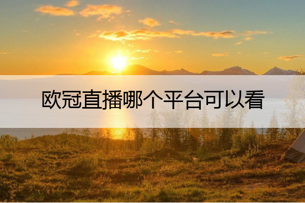 欧冠直播哪个平台可以看(2022欧冠直播在哪个app能看)

