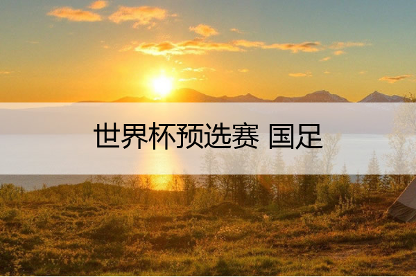 世界杯预选赛 国足 世界杯预选赛国