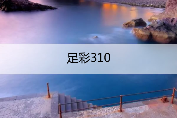 足彩310,足彩310缩水过滤利器
