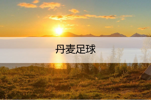 丹麦足球(丹麦足球运动员埃里克森)
