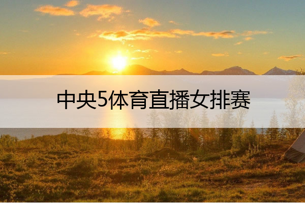 中央5体育直播女排赛,中央5体育直