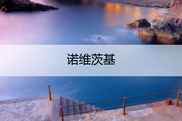 诺维茨基_诺维茨基金鸡独立集锦
