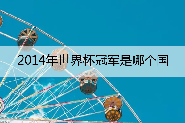 2014年世界杯冠军是哪个国_2014年