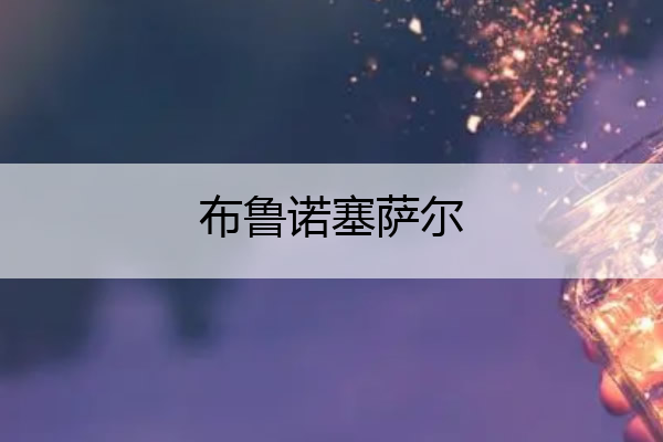 布鲁诺塞萨尔 布鲁塞尔百科