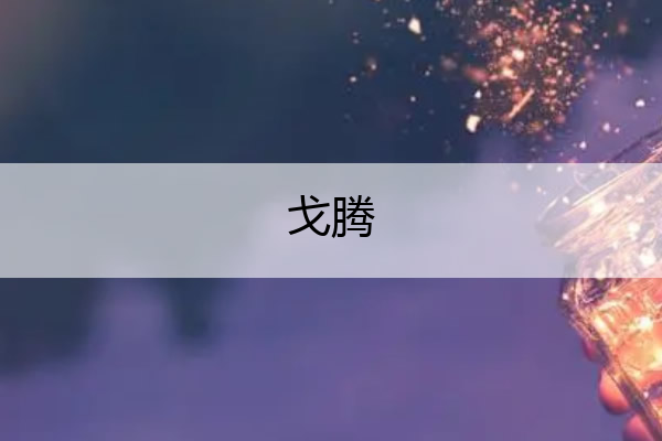 戈腾_戈腾化油器清洗剂怎么样
