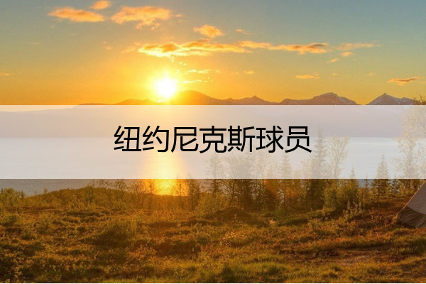 纽约尼克斯球员_纽约尼克斯球员评分
