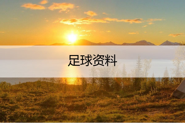 足球资料,殷富诚足球资料
