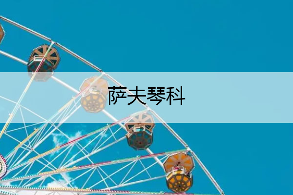 萨夫琴科,萨夫琴科.康斯坦金.尤里耶维奇

