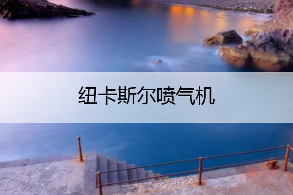 纽卡斯尔喷气机 纽卡斯尔喷气机vs墨尔本城
