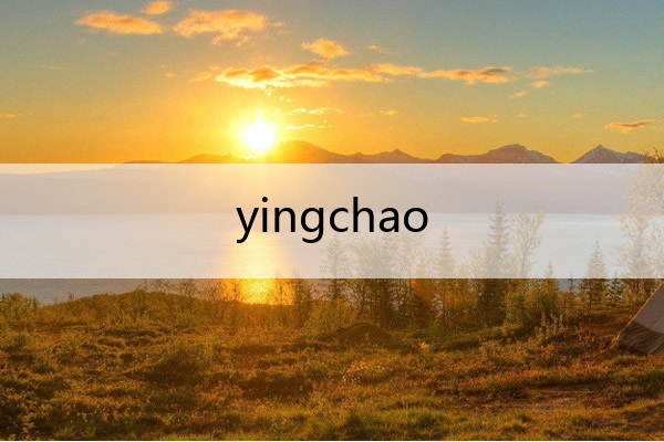 yingchao 英超夏季联赛